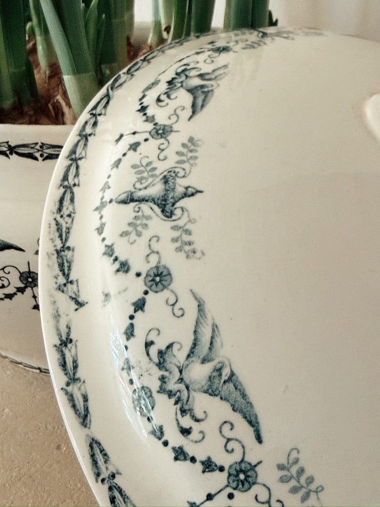 Badonviller terrine - Frankrijk