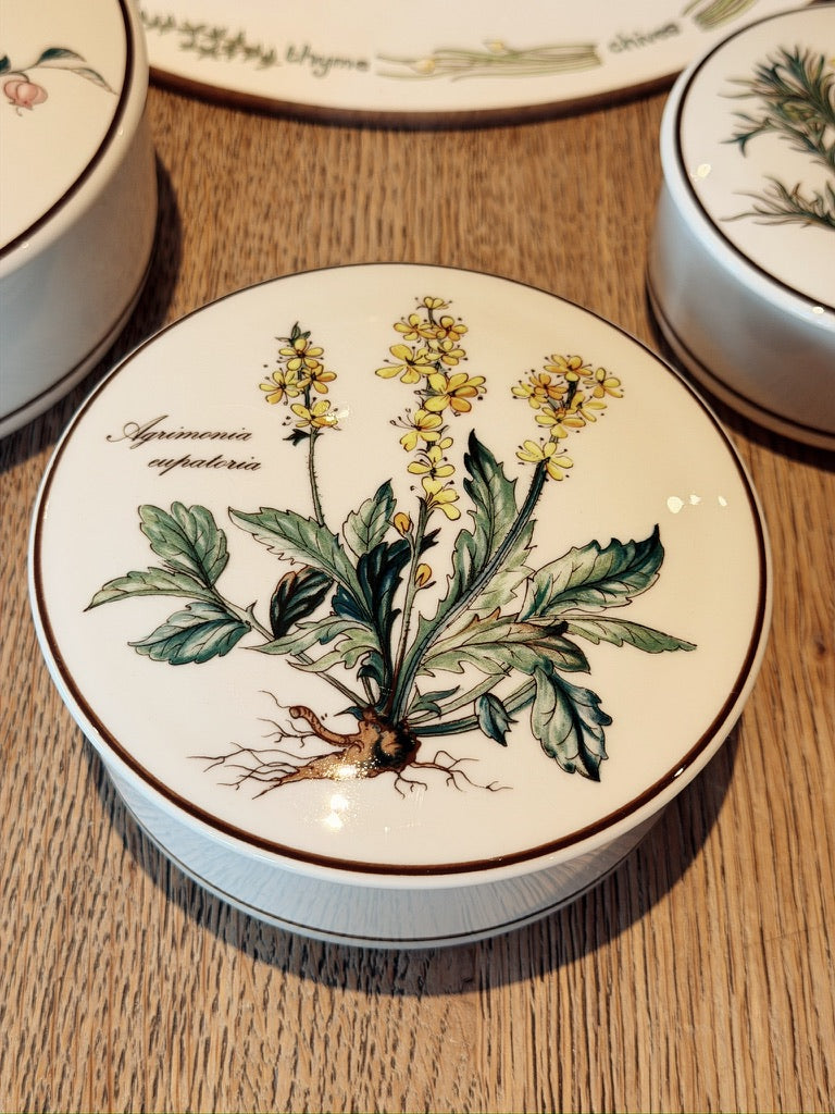 Villeroy & Boch Botanica trinketdoosjes